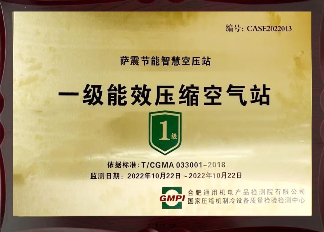 薩震一級能效壓縮空(kōng)氣(qì)站(zhàn)